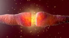 3D illustration of two neurons (in a burnt orange color) facing each other with a small gap. Within the gap, there are lots of yellow bubbles. The background of the image is black with a yellow halo around the gap between the two neurons and specks of cream dotted around.