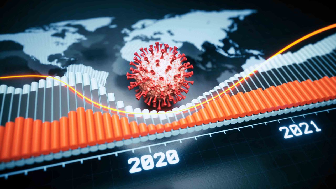 best stocks of pandemic bull market