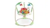 Fisher Price Rainforest Jumperoo