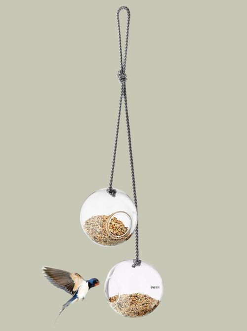 Glass Bird Feeder, Set of 2