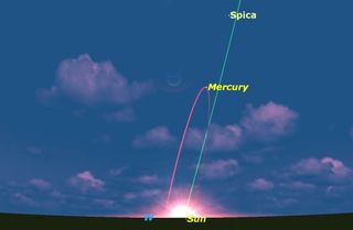 As seen from Australia and South Africa, the ecliptic makes a steep angle with the horizon, so Mercury is very well placed.