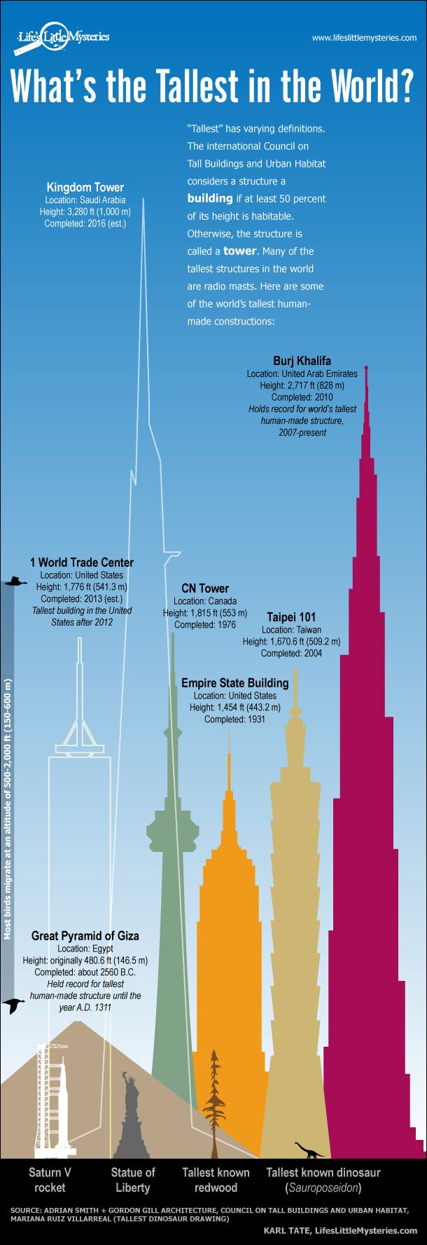 Tallest Things in the World (Infographic)