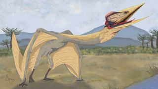 The aptly named Thanatosdrakon "dragon of death" pterosaur was a flying reptile that lived alongside dinosaurs during the Cretaceous period.