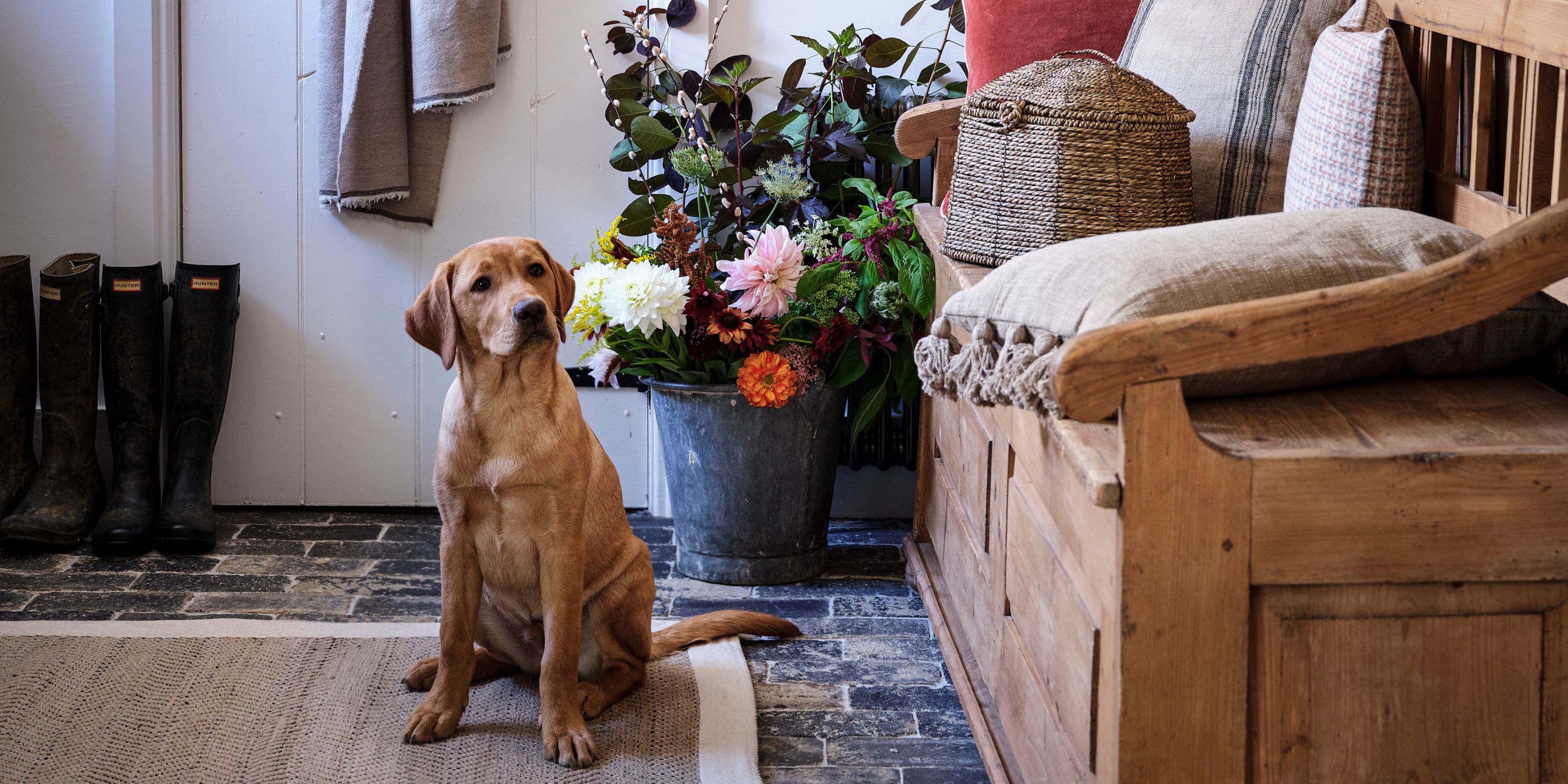 A dog sat on a rug in a boot room in front of some flowers