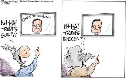 Political cartoon U.S. Trump Comey testimony guilt innocence interpretation