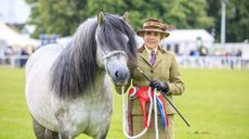 Royal Windsor Highland pony champion, The Queen&rsquo;s Balmoral Leia