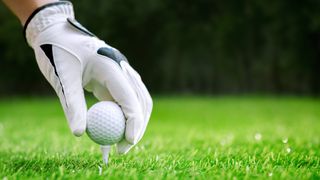 a photo of a golfer wearing a golf glove