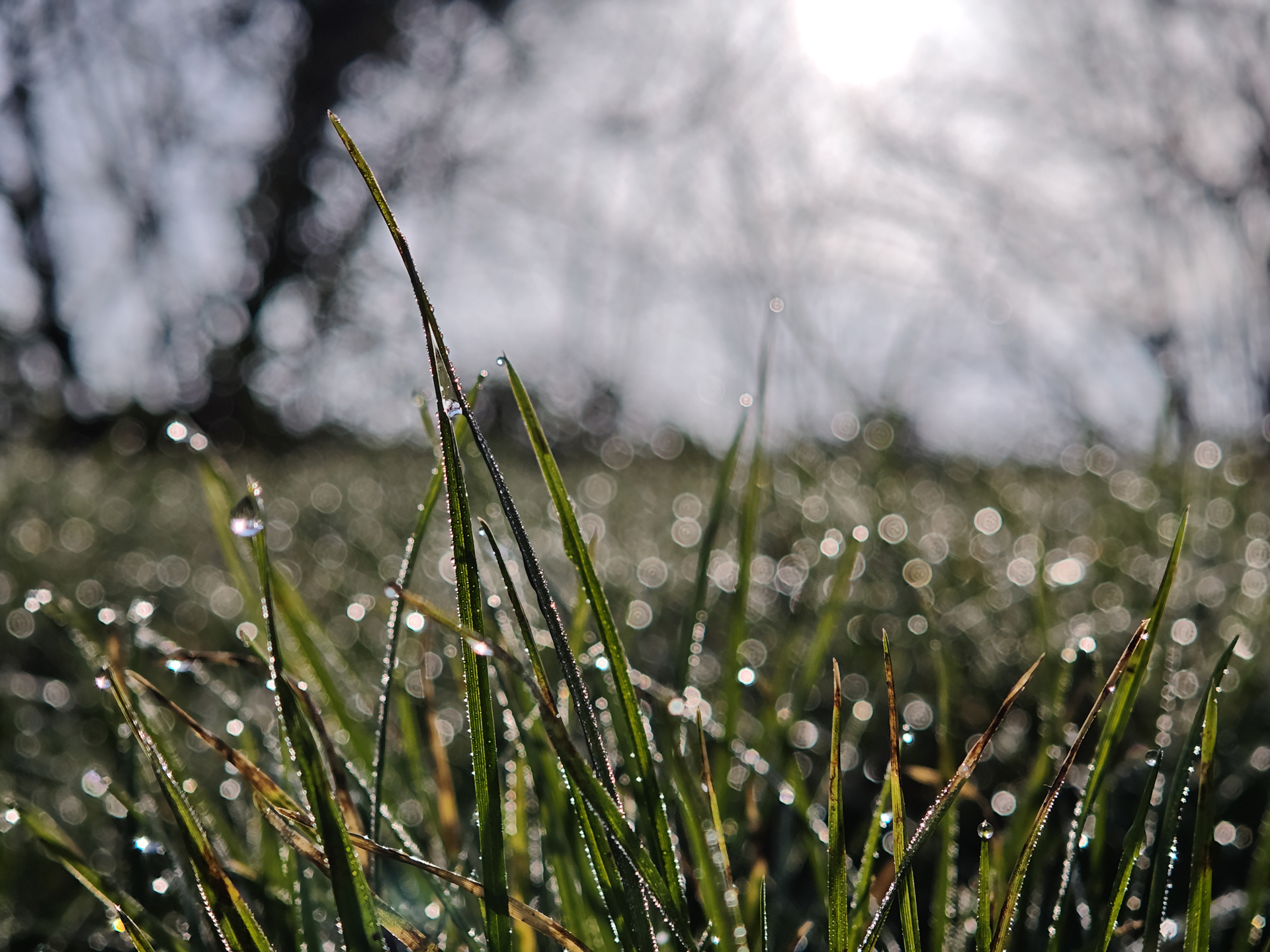 Xiaomi 17 sample photos