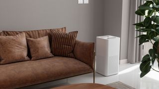 Air Purifier In Living Room For Fresh Air