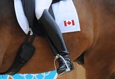 A Canadian dressage rider