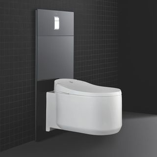 toilet with black tiles and flooring