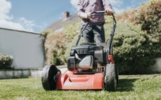 best lawn mowers on display