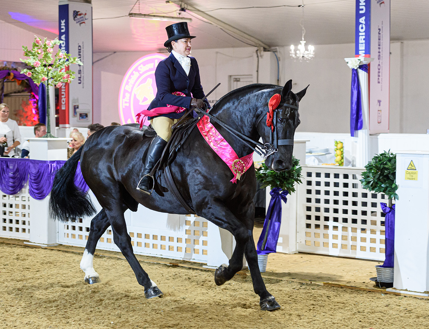 Nicky McConville and RANDALSTOWN ROLEX - BHSA National Championship Show 2021