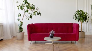 Burgundy sofa in white living room