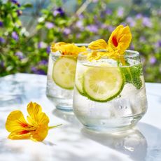 Two glasses of sparkling water with lime slices and nasturtium flowers