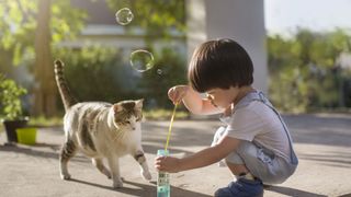 toddler blowing bubbles with cat