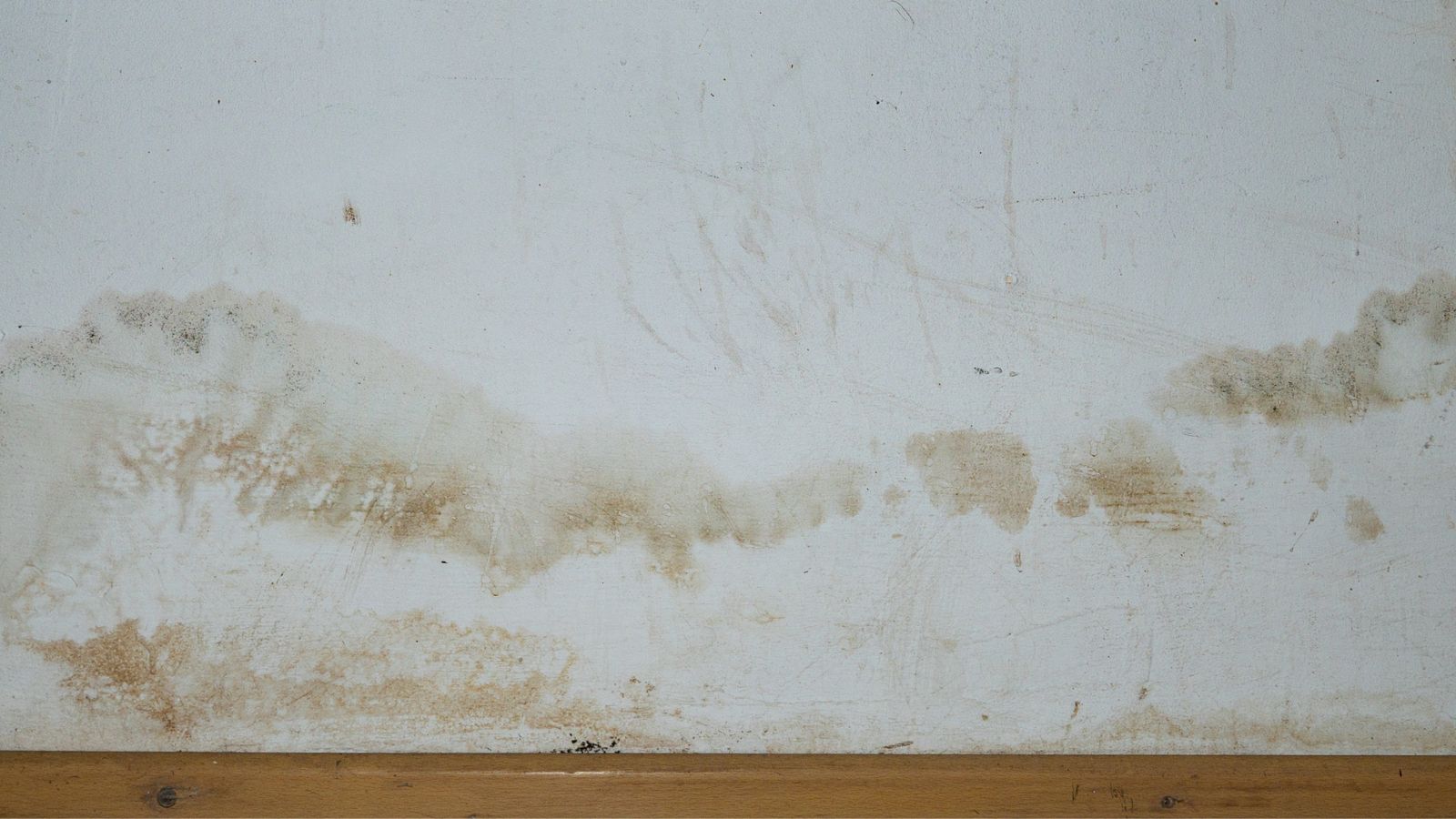 A white wall marked with spreading brown stains and tide-like patches, showing the irregular, fuzzy-edged discolouration typical of damp or moisture ingress above a wooden skirting board.