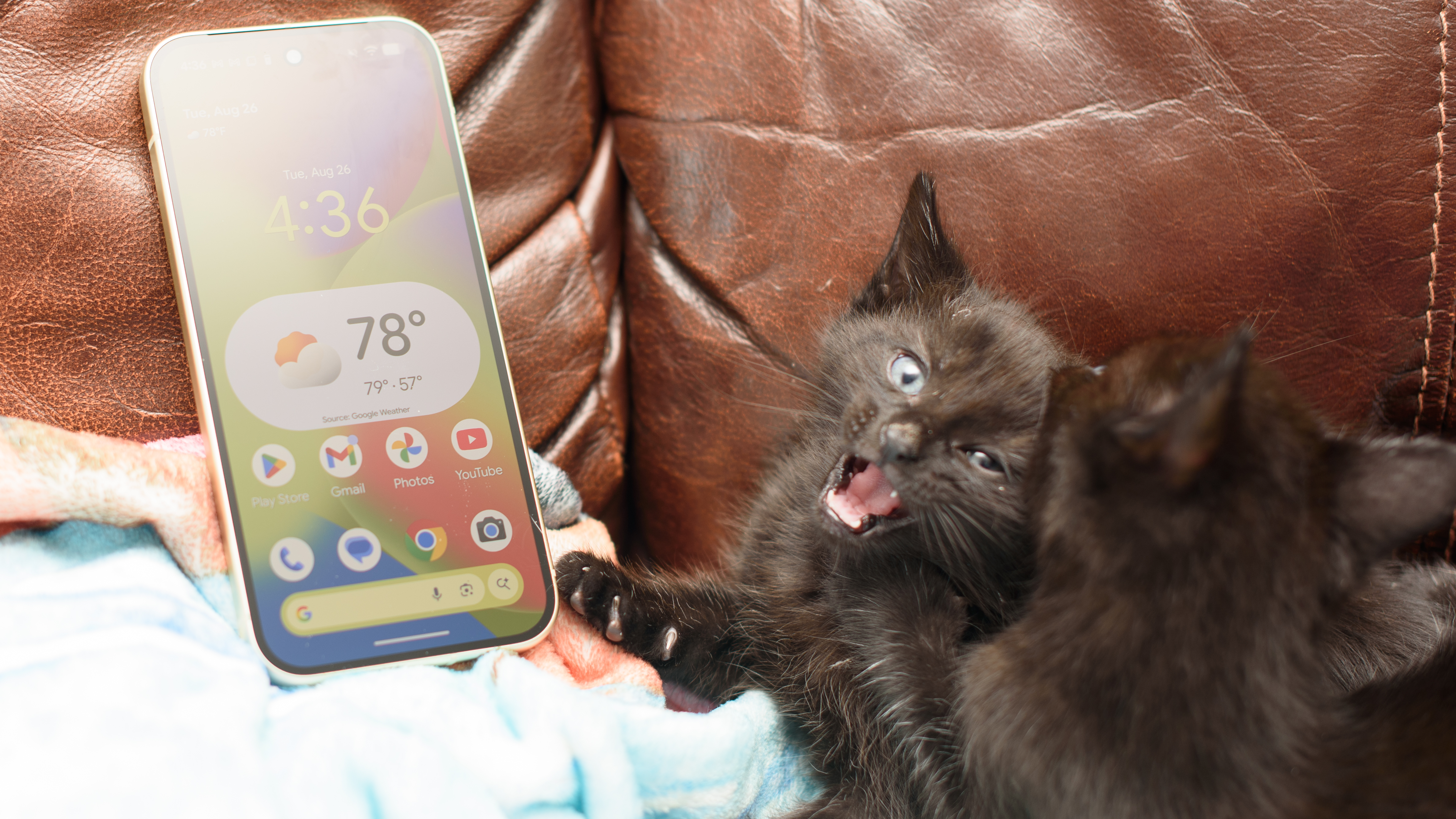 Two small 6 week old black kittens planning on and around a jade green Google Pixel 10 Pro phone, tapping the screen and clawing at the apps with their tiny murder claws