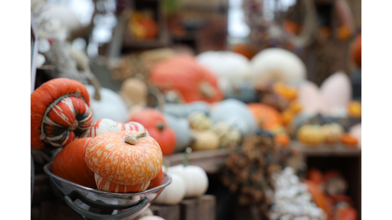 Example image showing shallow depth of field