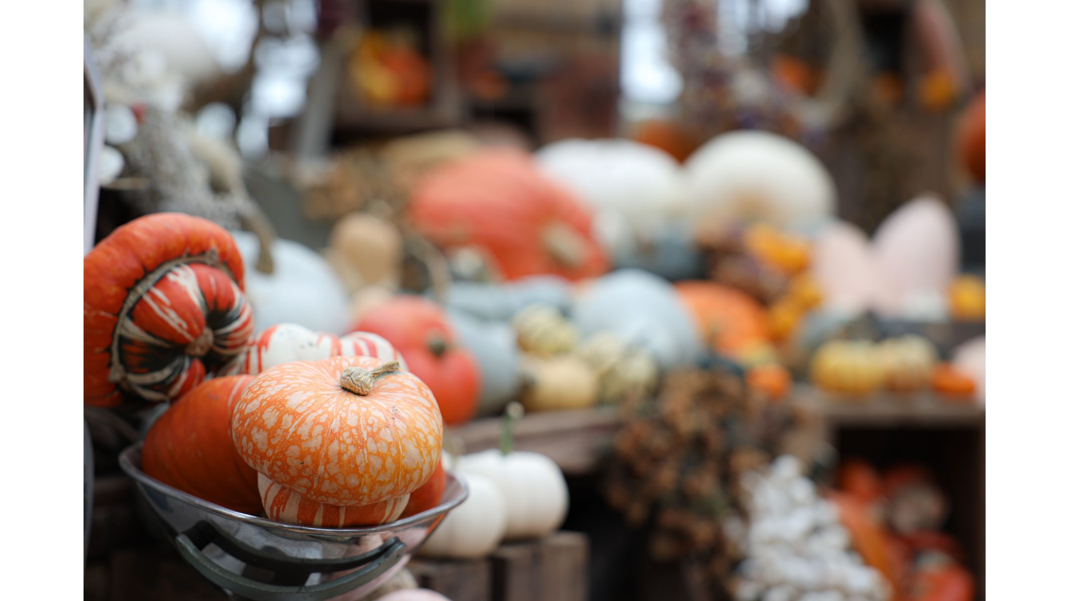Example image showing shallow depth of field