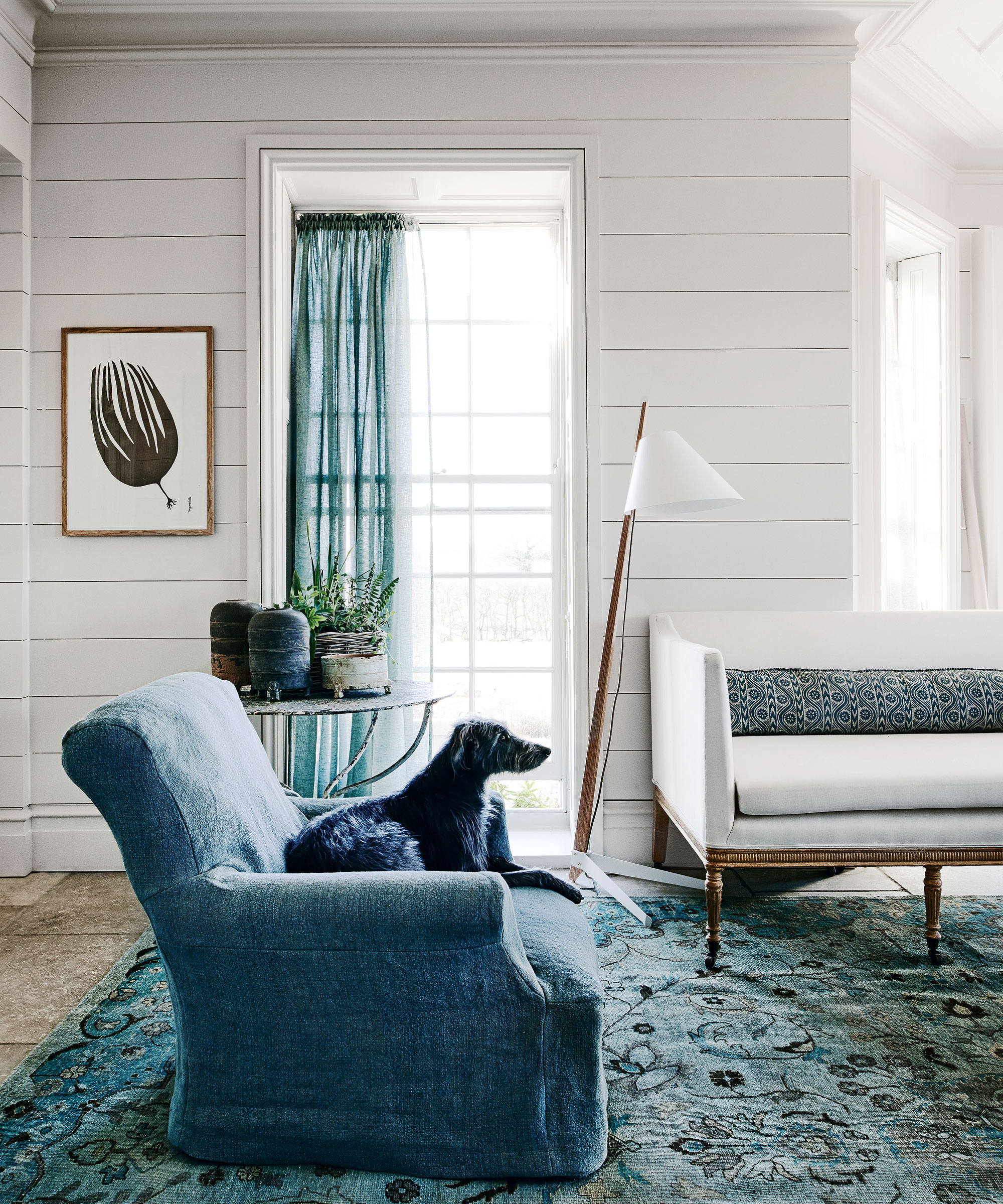 Simple living room ideas with white shiplap wall