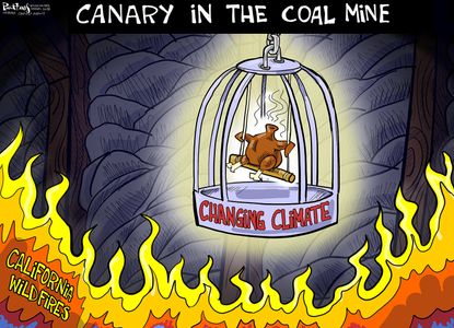 Editorial cartoon U.S. canary in the coal mine climate change California wildfires