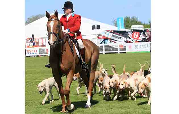 Declan Feeney and the East Down foxhounds paraded at Balmoral