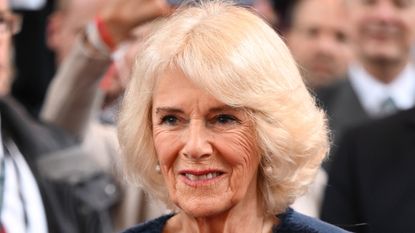 Queen Camilla's unusual stick insect brooch has a bizarre but sentimental story behind it that's been revealed by a royal jeweller