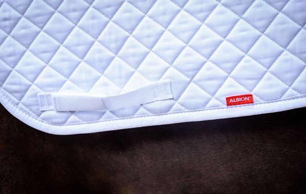 Albion England Diamond Dressage Square review