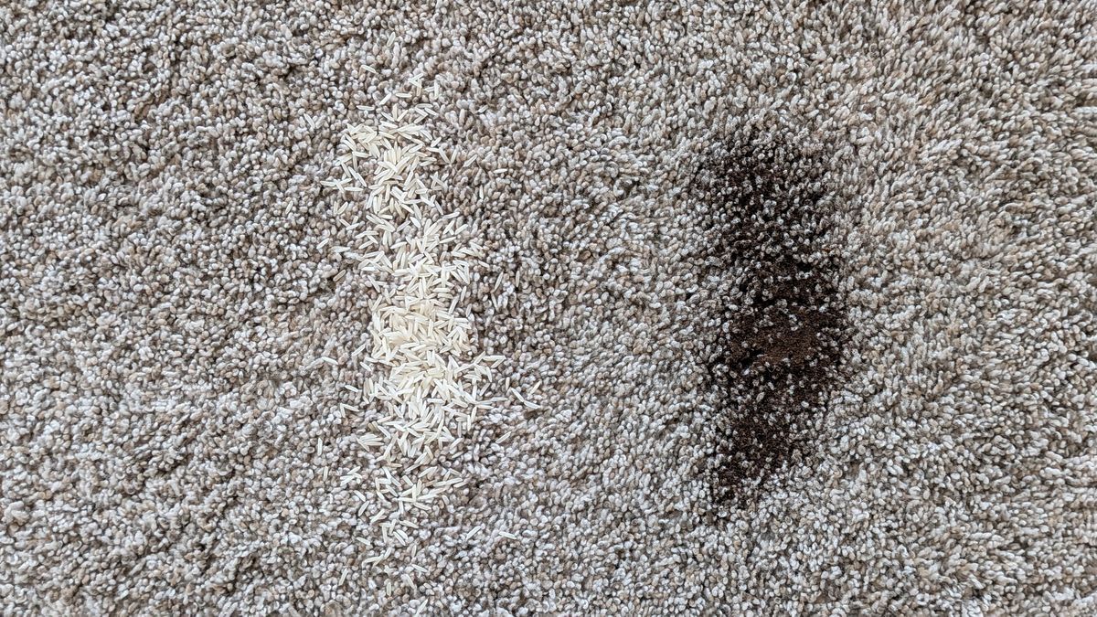 Pile of dry tea and rice on deep-pile carpet before the vacuuming test