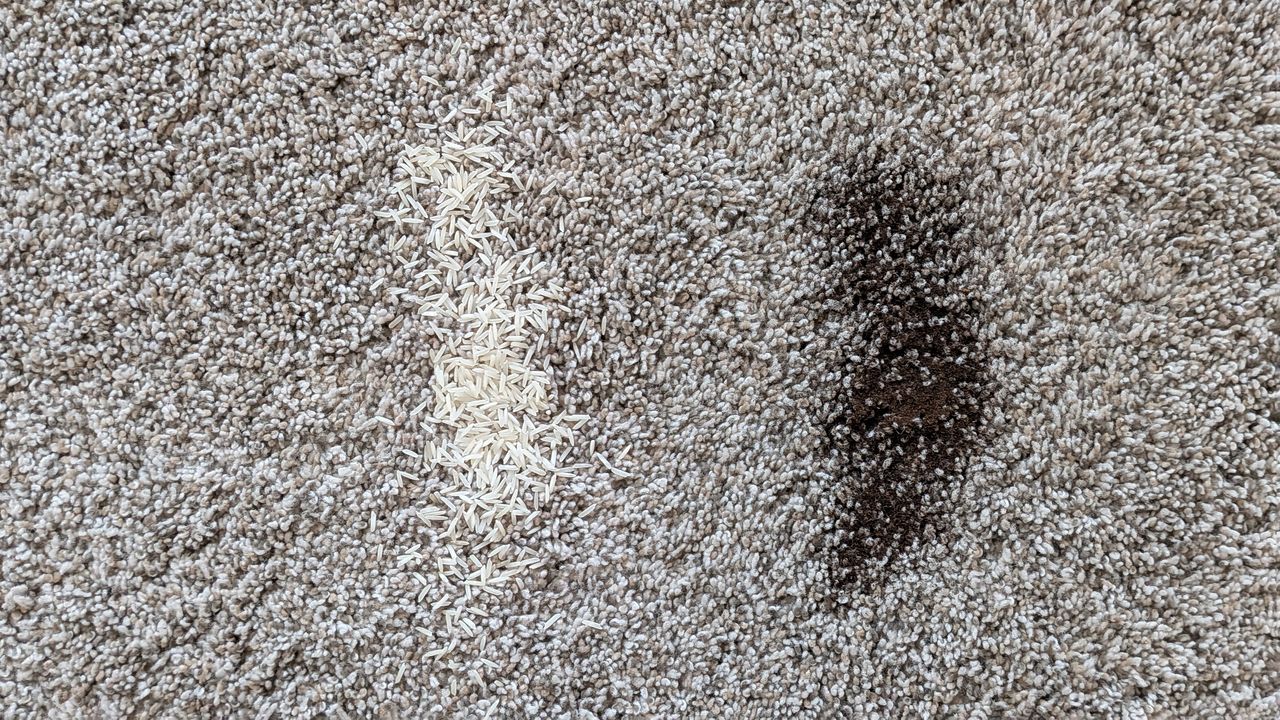 Pile of dry tea and rice on deep-pile carpet before the vacuuming test