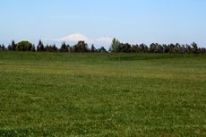 Itata Valley Torres land