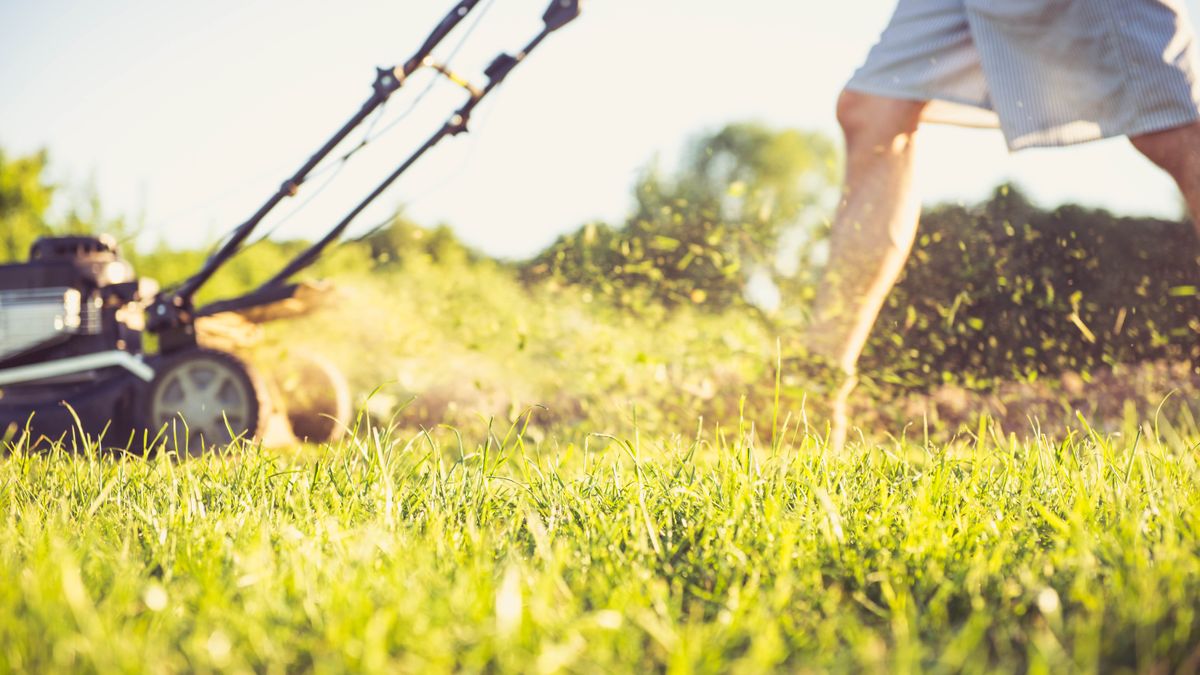 When is the right time for the first grass cut of the year? We ask an