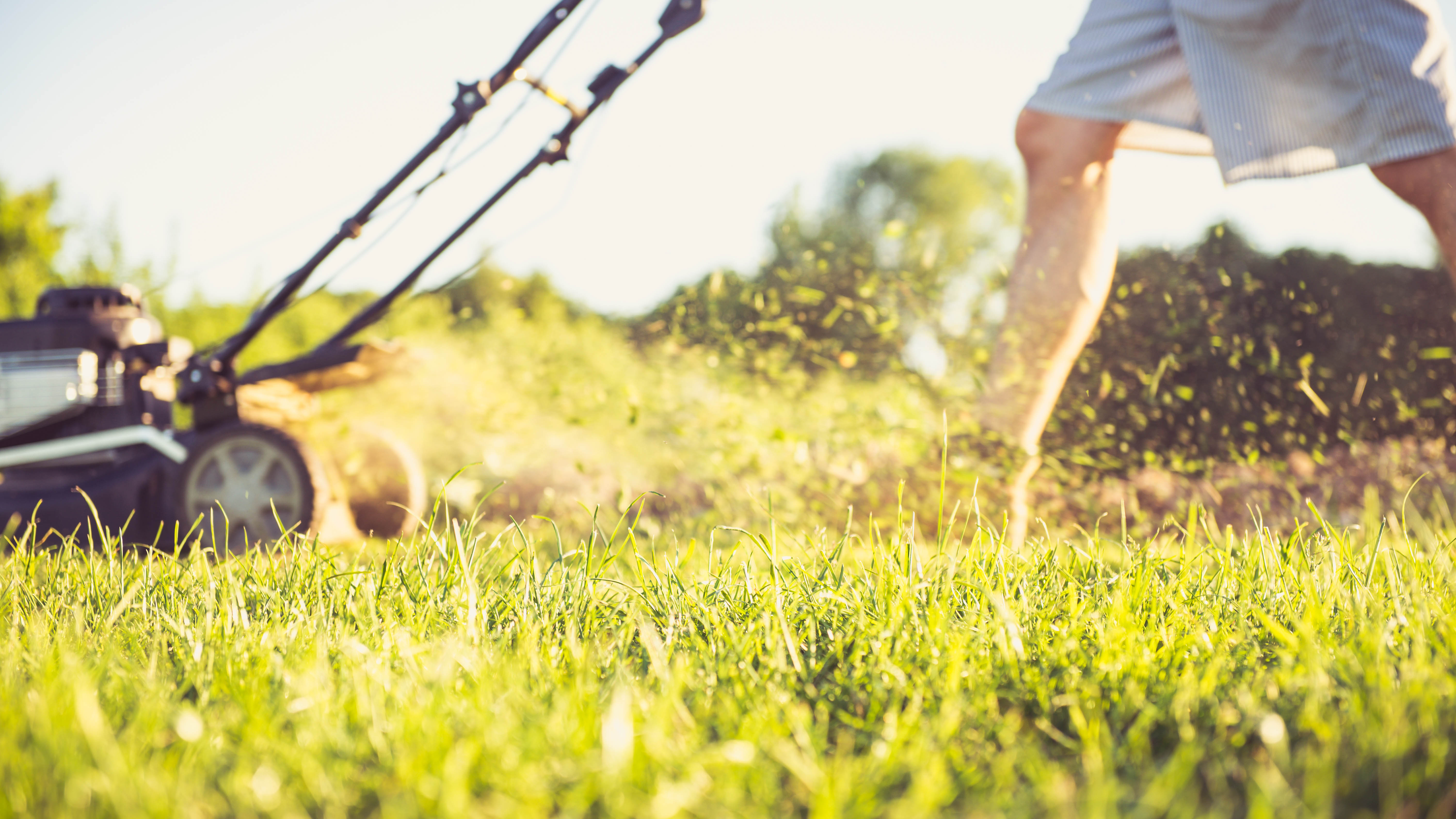 Grass clippings when mowing lawn