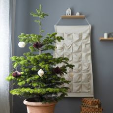 A potted Christmas tree in home