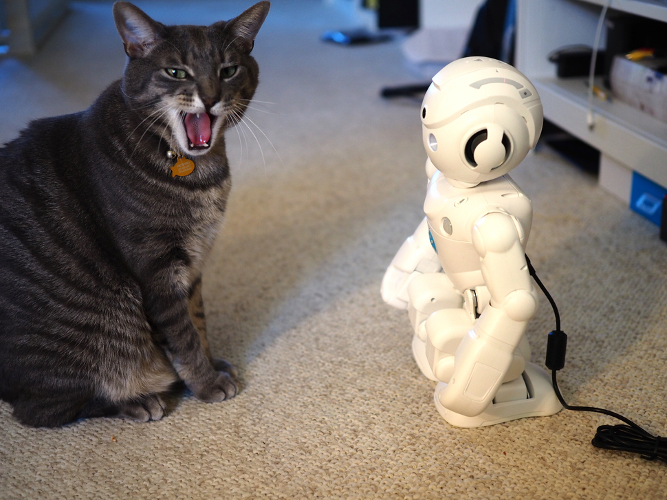 Ubtech Lynx Review An 800 Alexa Robot That Does Yoga Tom's Guide