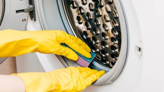 Someone cleaning the rubber gasket of a washing machine with a sponge while wearing gloves