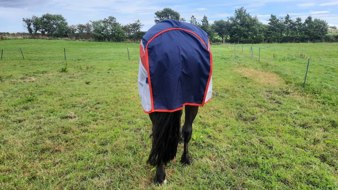 Premier Equine Buster Stay Dry Lite large tail flap