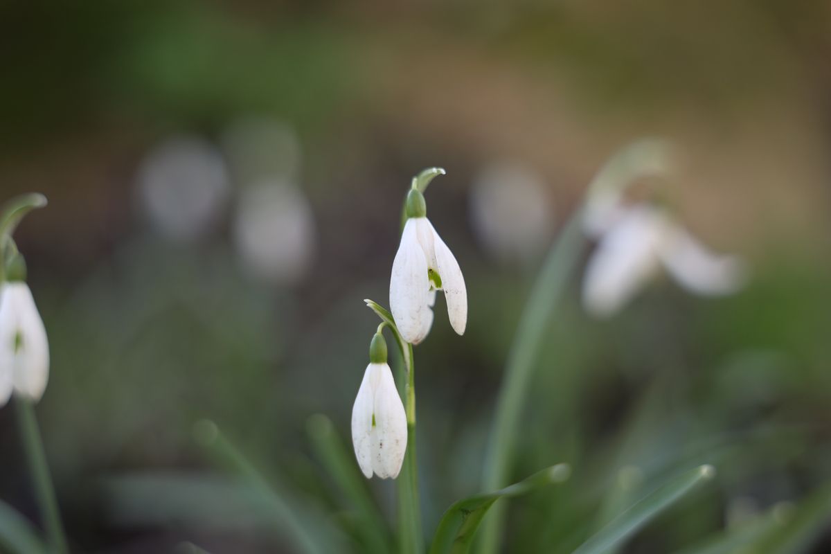 Sample shot taken with Canon RF 28-70mm f/2.8 IS STM and Canon EOS R8