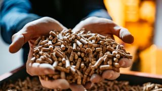Close up of hands holding wood pellets