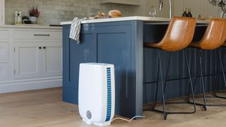 A Meaco dehumidifier in a blue kitchen