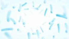 Probiotics. Restoring the intestinal flora. Blue color.
