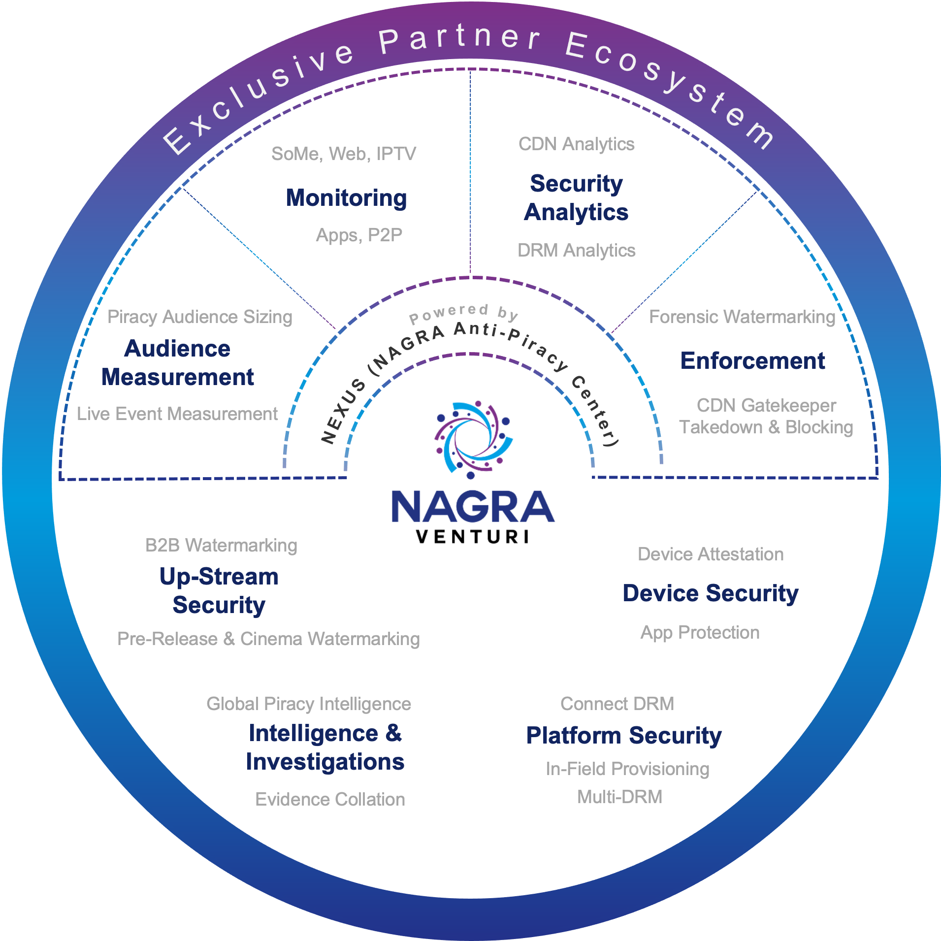 Nagra Venturi security system diagram