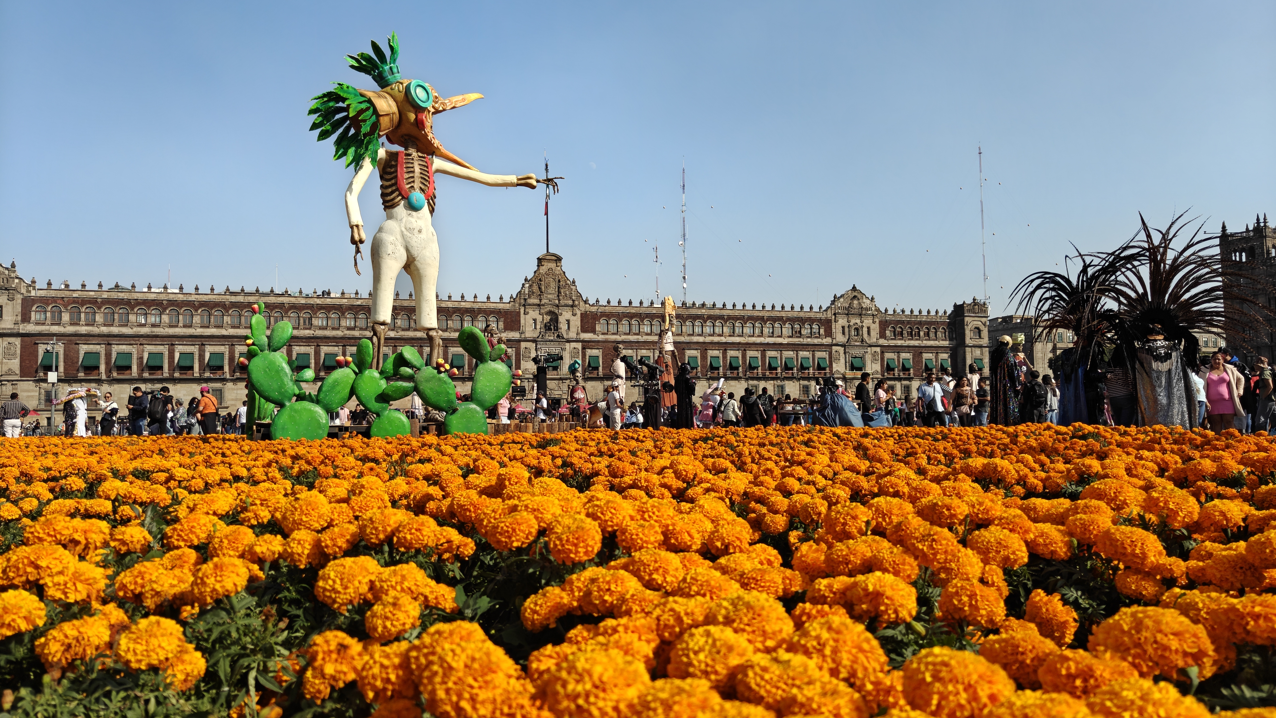 Oppo Find X9 Pro camera review sample