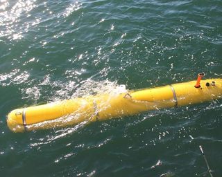 The Bluefin-21 autonomous underwater vehicle will use sonar and take pictures in the search for pieces of Amelia Earhart's plane.