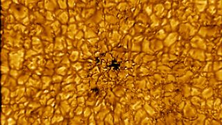 An image of the sun taken by the Daniel K. Inouye Solar Telescope on Feb. 25, 2022.
