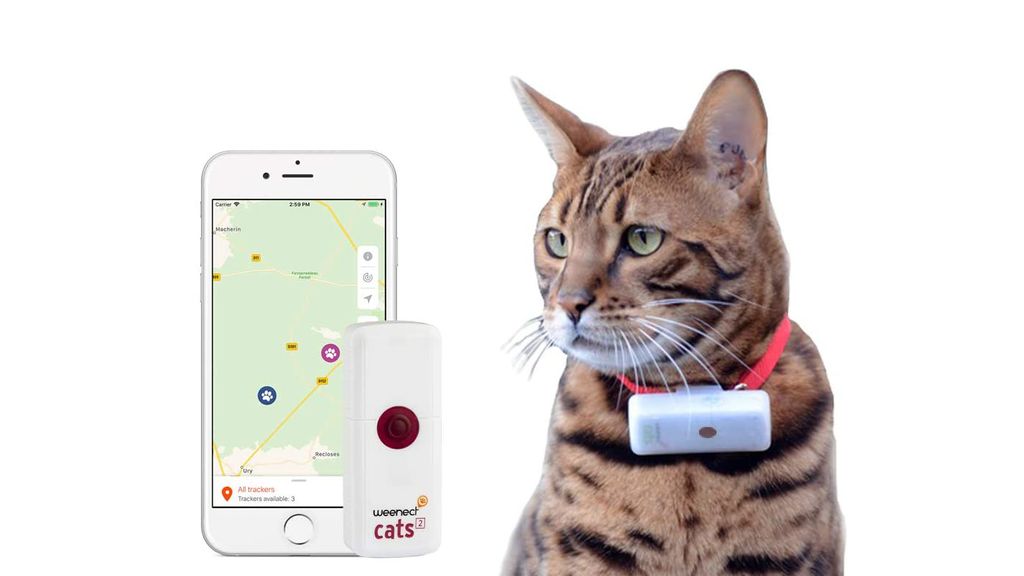 Best cat GPS tracker 2023 GPS trackers for adventurous kitties T3