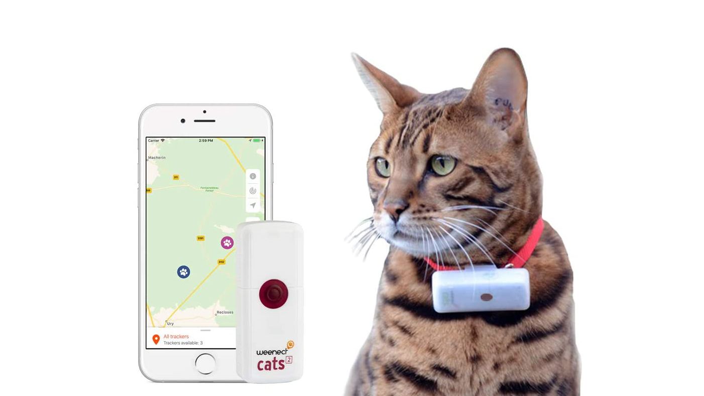 Best cat GPS tracker 2023 GPS trackers for adventurous kitties T3