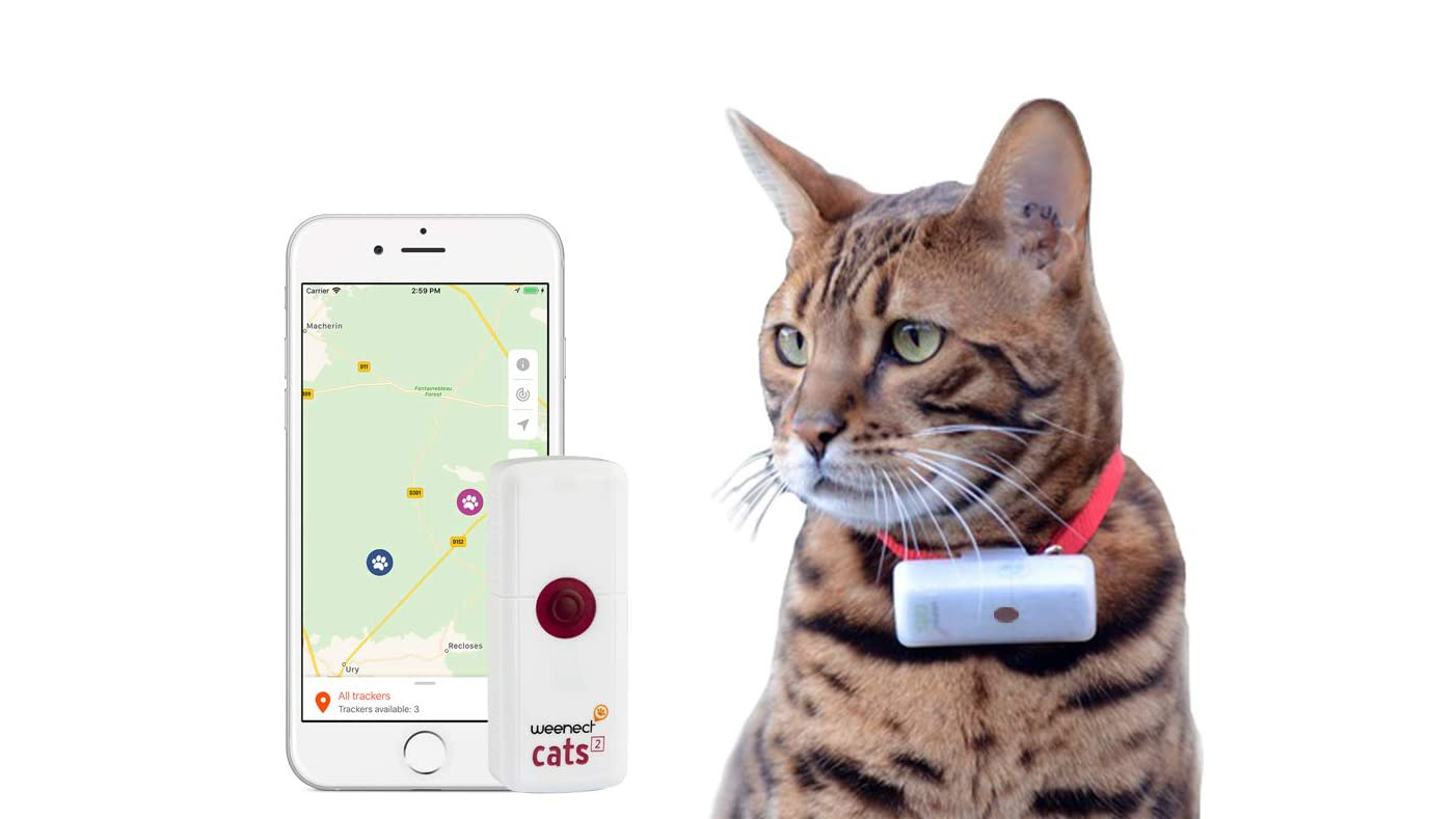 Best Cat GPS Tracker 2022 GPS Trackers For Adventurous Kitties T3   AQjbRECnhLag8kuHuwAFzM 