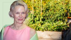 picture of Pamela Anderson at Berlin film festival and picture of garden raised beds
